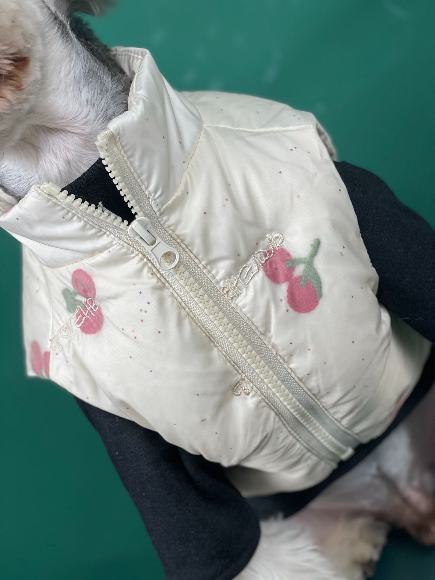 HKM-4167101 Warm Cherry Vest for Dogs - Polyester Fashion Dog Clothes for Autumn and Winter