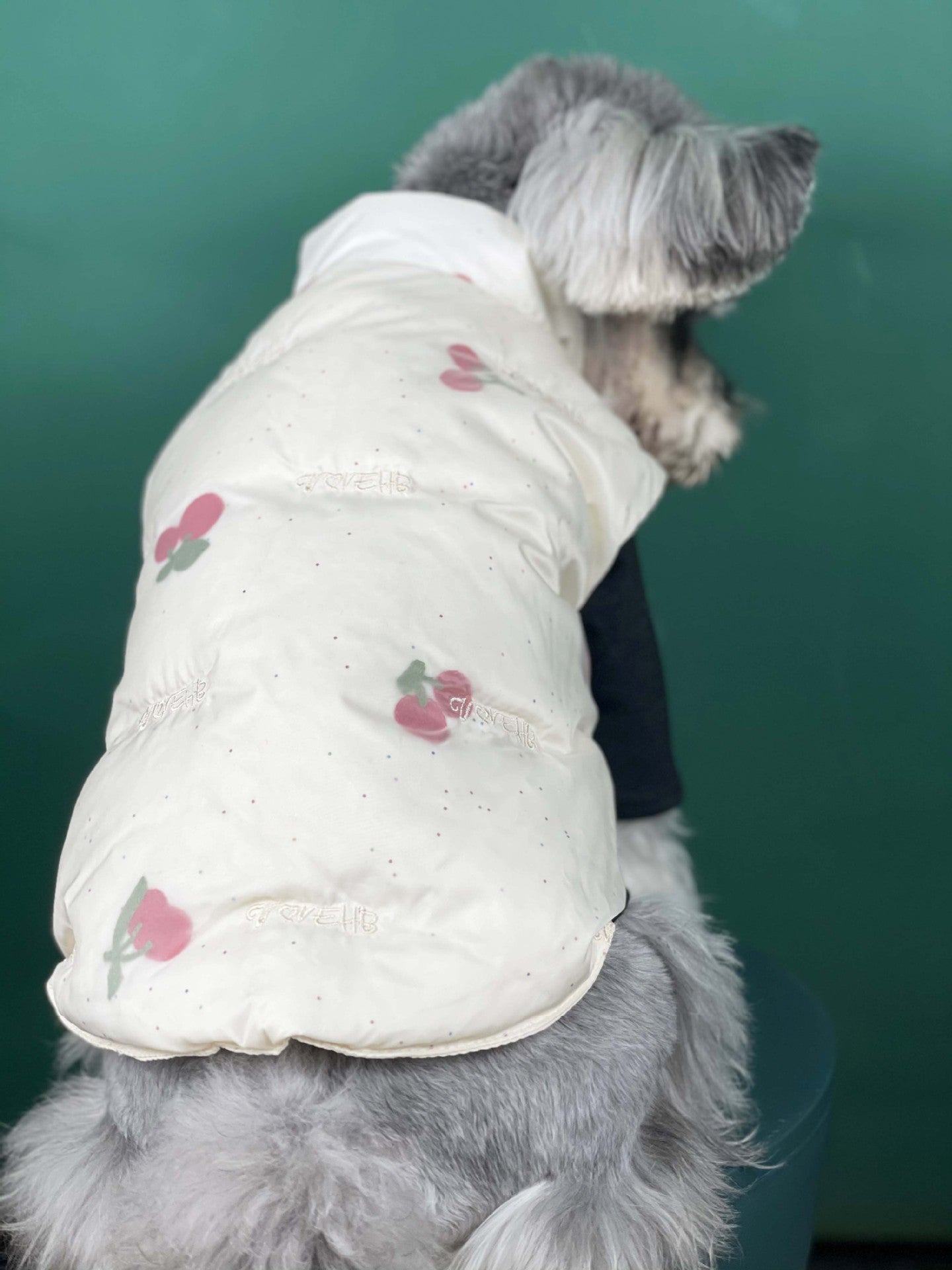 HKM-4167101 Warm Cherry Vest for Dogs - Polyester Fashion Dog Clothes for Autumn and Winter
