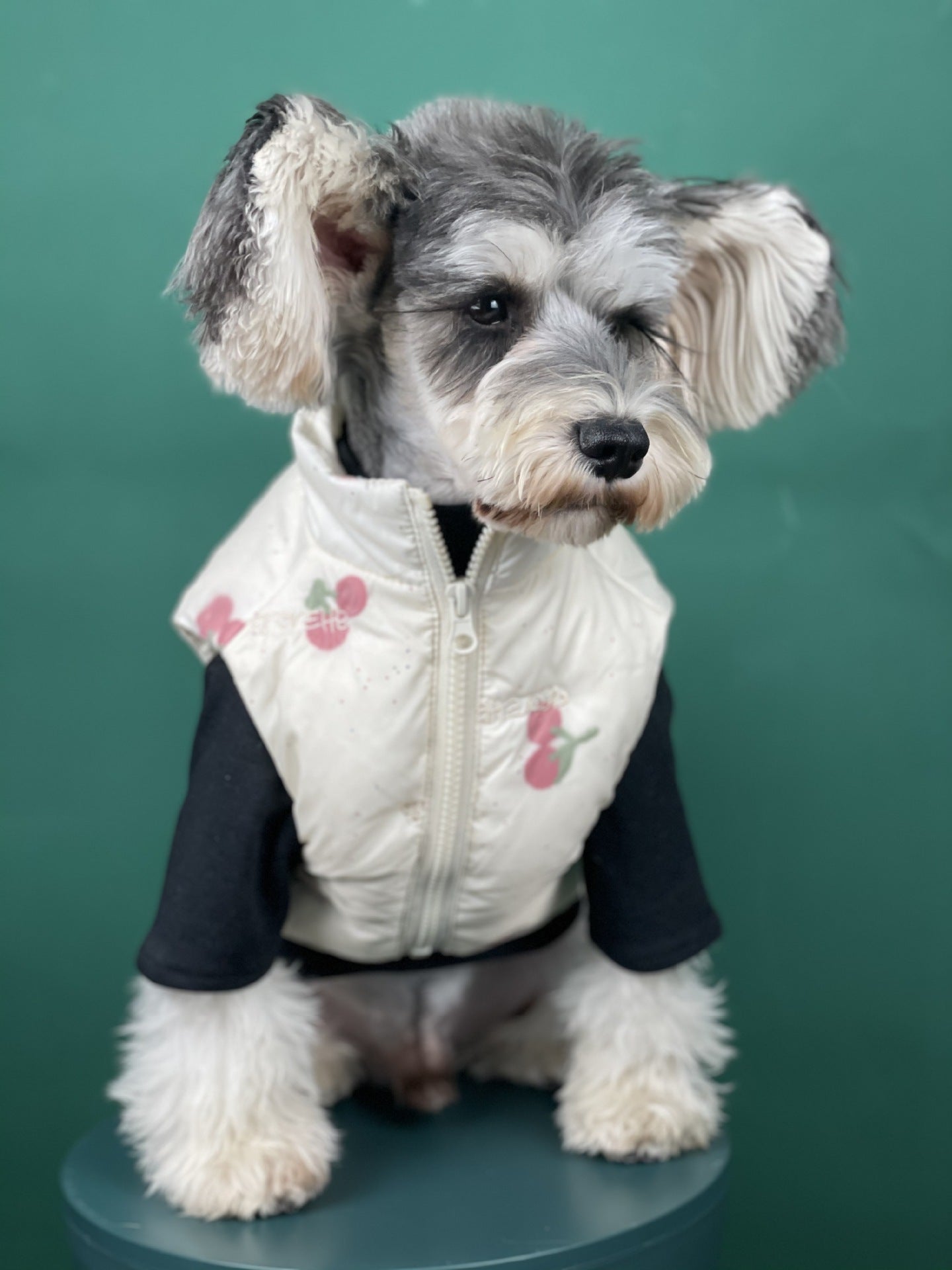HKM-4167101 Warm Cherry Vest for Dogs - Polyester Fashion Dog Clothes for Autumn and Winter