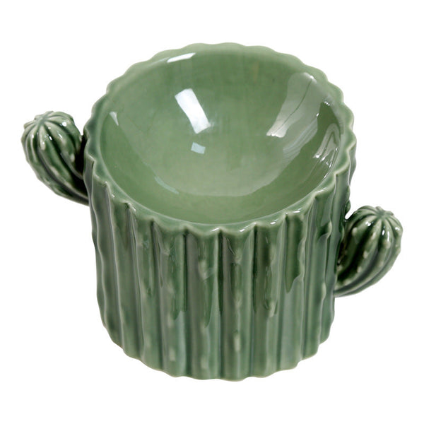 HKM-4168509 Ceramic Cat and Dog Food Bowl Set in Various Cactus Designs
