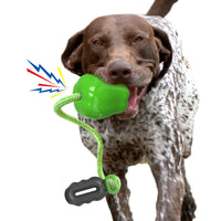HKM-4170941 Apple Shaped Molar Dog Toy - Squeaky & Outdoor Versions in Green and Red