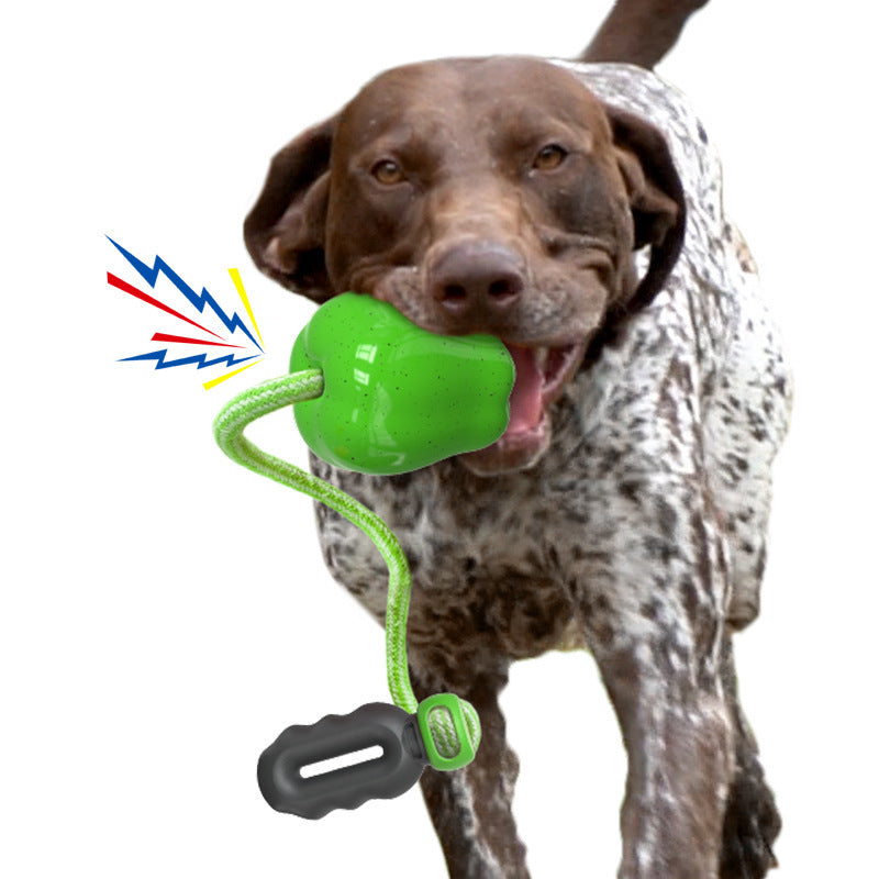 HKM-4170941 Apple Shaped Molar Dog Toy - Squeaky & Outdoor Versions in Green and Red