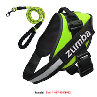 HKM-4174141 Personalized Reflective Adjustable Dog Harness and Leash Set, Breathable Nylon Design, Multiple Sizes Available