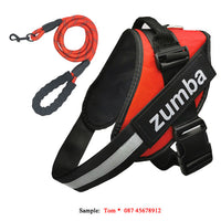 HKM-4174141 Personalized Reflective Adjustable Dog Harness and Leash Set, Breathable Nylon Design, Multiple Sizes Available