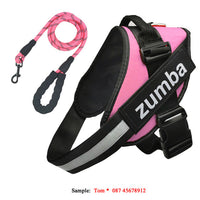HKM-4174141 Personalized Reflective Adjustable Dog Harness and Leash Set, Breathable Nylon Design, Multiple Sizes Available