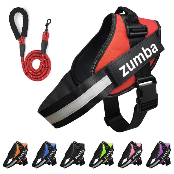 HKM-4174141 Personalized Reflective Adjustable Dog Harness and Leash Set, Breathable Nylon Design, Multiple Sizes Available