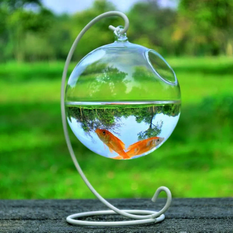 HKM-417555 Mini Hanging Glass Vase with Black or White Bracket - High Borosilicate Glass Fish Tank