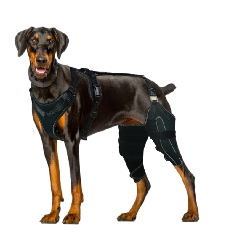 HKM-4177853 Adjustable Dog Thigh Protective Sleeve with Metal Support for Postoperative Care - Black