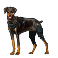 HKM-4177853 Adjustable Dog Thigh Protective Sleeve with Metal Support for Postoperative Care - Black