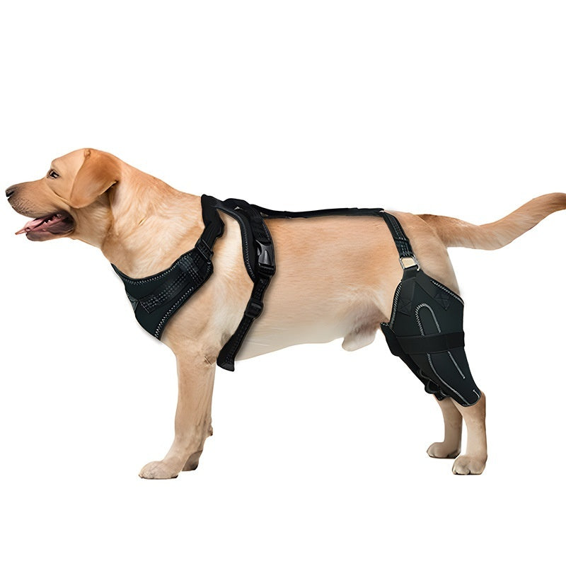 HKM-4177853 Adjustable Dog Thigh Protective Sleeve with Metal Support for Postoperative Care - Black
