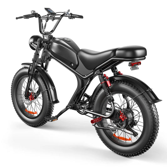 HKM-417811 20 Inch Electric Fatbike with 1000W Motor, 48V 20Ah Battery, 7 Speed Gears, and Disc Brakes