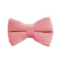 HKM-4180029 Lovely Cat Bow and Bell Collar Set for Pets, Cotton Material, Cartoon Design, Small and Large Sizes Available