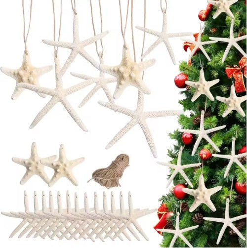 HKM-418003 15pcs Natural Starfish Hanging Ornaments, 2.3-4.3 Inch Decor for Home, Gift, Hotel, and Restaurant