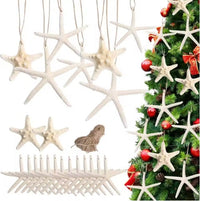 HKM-418003 15pcs Natural Starfish Hanging Ornaments, 2.3-4.3 Inch Decor for Home, Gift, Hotel, and Restaurant