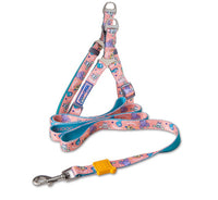 HKM-4183613 Nylon Heat Transfer Dog Harness with Leash and Chest Back Collar for Outdoor Walking