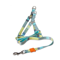 HKM-4183613 Nylon Heat Transfer Dog Harness with Leash and Chest Back Collar for Outdoor Walking
