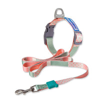 HKM-4183613 Nylon Heat Transfer Dog Harness with Leash and Chest Back Collar for Outdoor Walking