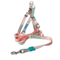 HKM-4183613 Nylon Heat Transfer Dog Harness with Leash and Chest Back Collar for Outdoor Walking