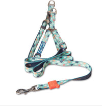 HKM-4183613 Nylon Heat Transfer Dog Harness with Leash and Chest Back Collar for Outdoor Walking