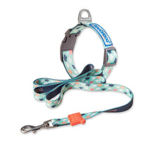 HKM-4183613 Nylon Heat Transfer Dog Harness with Leash and Chest Back Collar for Outdoor Walking