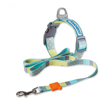 HKM-4183613 Nylon Heat Transfer Dog Harness with Leash and Chest Back Collar for Outdoor Walking