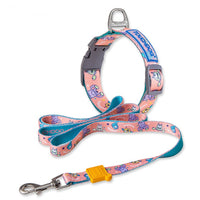 HKM-4183613 Nylon Heat Transfer Dog Harness with Leash and Chest Back Collar for Outdoor Walking