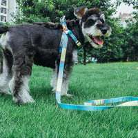 HKM-4183613 Nylon Heat Transfer Dog Harness with Leash and Chest Back Collar for Outdoor Walking