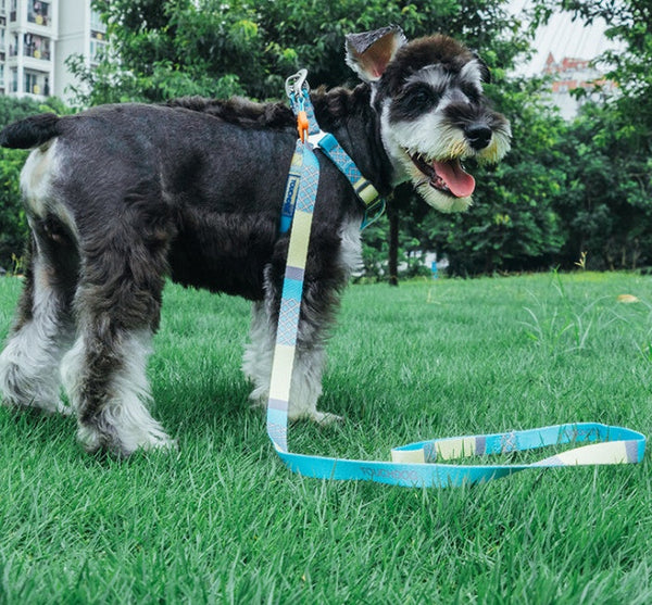 HKM-4183613 Nylon Heat Transfer Dog Harness with Leash and Chest Back Collar for Outdoor Walking