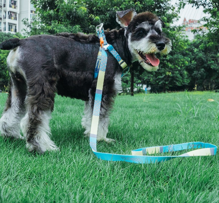 HKM-4183613 Nylon Heat Transfer Dog Harness with Leash and Chest Back Collar for Outdoor Walking