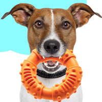 HKM-4185277 Interactive Bouncy Fetch Stick Toy for Dogs - Lightweight, Floatable Chewy Toy for Catching and Fetching
