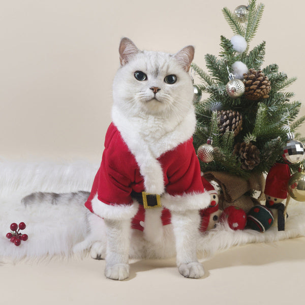 HKM-4195133 Cozy Red Christmas Pet Apparel for Cats and Dogs in Multiple Sizes