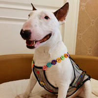 HKM-4205629 Breathable Floral Pet Apparel for Dogs in Multiple Sizes