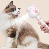HKM-4208317 Rechargeable Cat Spray Comb with Hot Steam Technology for Effective Grooming and Shedding Control