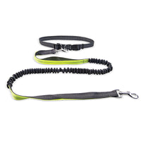 HKM-4210621 Adjustable Dog Walking Belt with Detachable Shockproof Traction Rope, 190cm Length