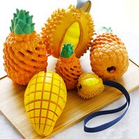 HKM-421779 Colorful Fruit-Shaped Dog Chew Toys for Teeth Cleaning and Playtime