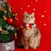 HKM-4218557 Festive Cat Collar Scarf with Pompom Bell and Lace in Gift Box
