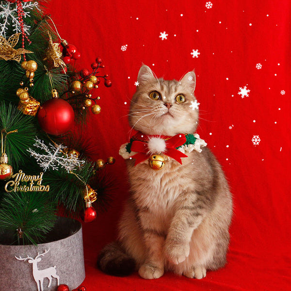 HKM-4218557 Festive Cat Collar Scarf with Pompom Bell and Lace in Gift Box