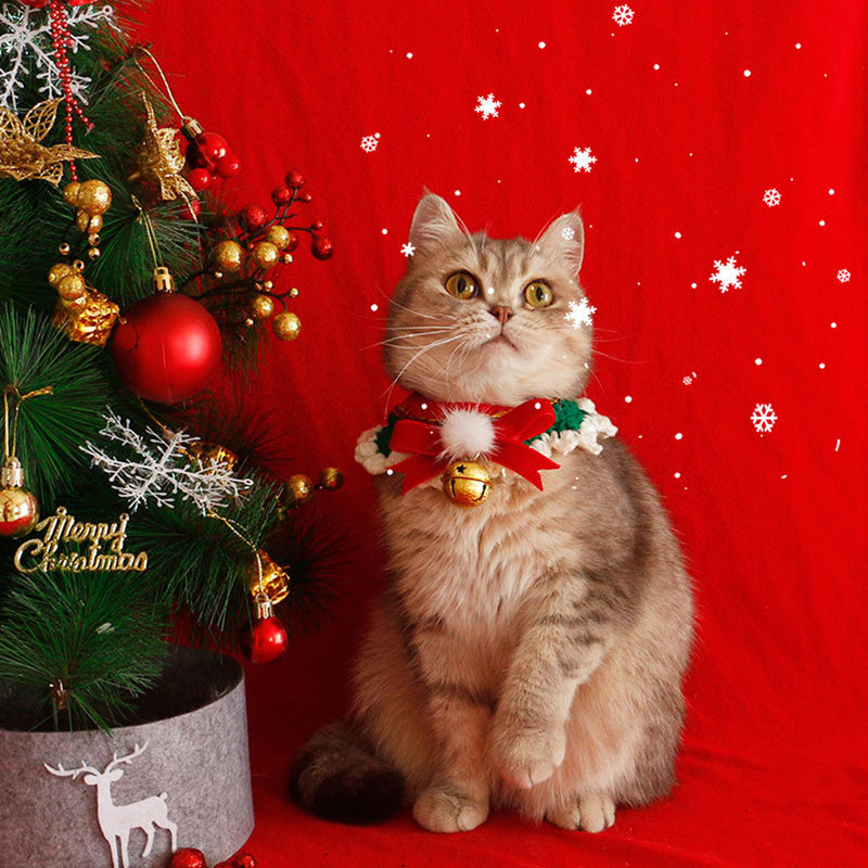 HKM-4218557 Festive Cat Collar Scarf with Pompom Bell and Lace in Gift Box