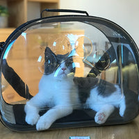 HKM-4218813 Foldable Transparent Pet Handbag for Small Dogs and Cats, Waterproof EVA Material, Lightweight Design