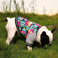 HKM-4226493 Stretch Printed Two-Legged Dog Clothes in Cotton and Fleece, Various Sizes XS-XXL