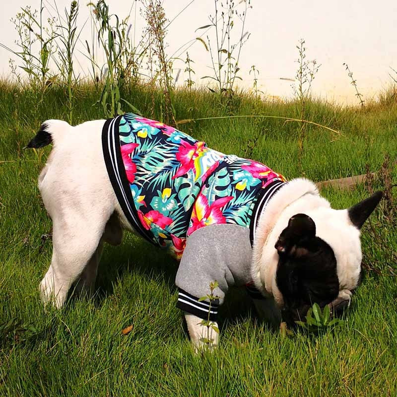 HKM-4226493 Stretch Printed Two-Legged Dog Clothes in Cotton and Fleece, Various Sizes XS-XXL