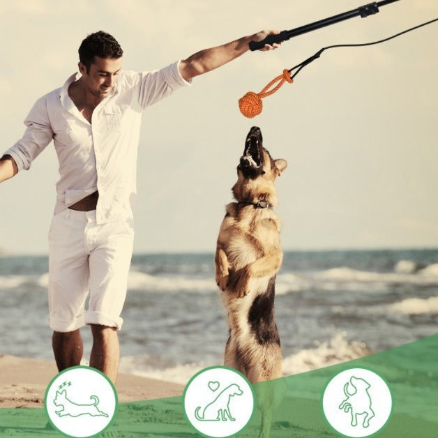 HKM-4227133 Retractable Dog Training Stick with Non-Slip Handle and Replaceable Toys