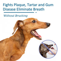 HKM-4229949 Pet Oral Cleaning Spray for Tartar Control and Fresh Breath, 59ml