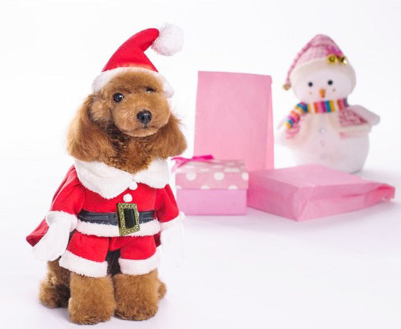 HKM-4233149 Festive Dog Sweatshirt with Hat - Christmas Apparel in Red and Green, Available in Multiple Sizes