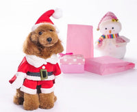 HKM-4233149 Festive Dog Sweatshirt with Hat - Christmas Apparel in Red and Green, Available in Multiple Sizes