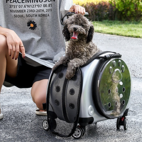 HKM-4234301 Portable Transparent Pet Trolley Bag for Small Pets – Medium Hard Diaper Carrier in Various Colors