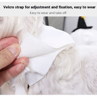 HKM-4238397 Funny Ghost Pumpkin Costume for Dogs ¨C Casual Pet Clothing in White, Sizes S, M, L