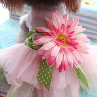 HKM-4241981 Spring and Summer Cotton Princess Skirt for Female Teddy Dogs