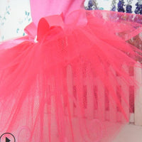 HKM-4241981 Spring and Summer Cotton Princess Skirt for Female Teddy Dogs