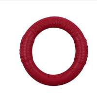 HKM-4244413 Portable EVA Pet Pull Ring Interactive Training Circle - 18cm Diameter Natural Loofah Material
